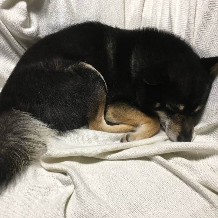 0f46a486 7d50 4b08 8c12 13eba96f1b31 1511779703551