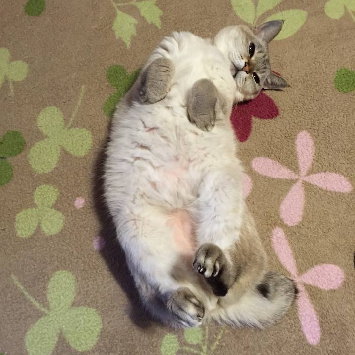 0f46ab1c 554a 4875 8dc8 35fab5536e08 1543221262149