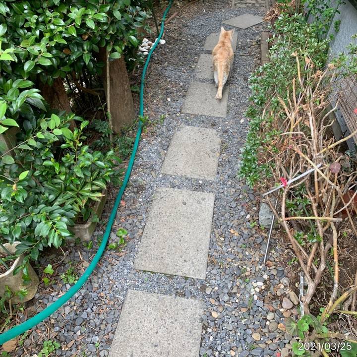 0f46d43c fecd 4c26 ad44 3479eca432ee 1616623673048