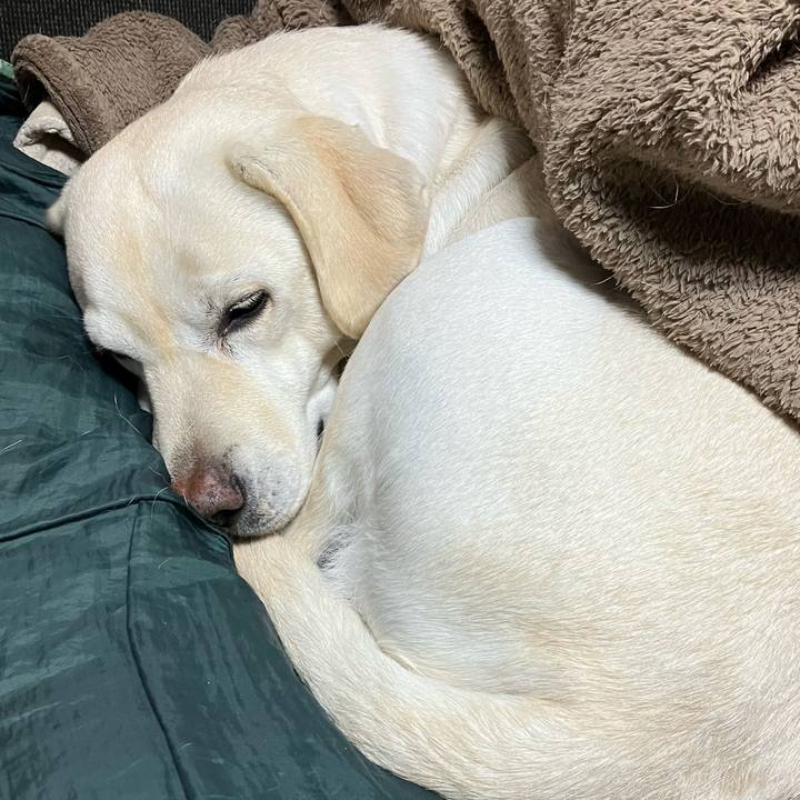 0f46f329 744e 4b43 98b1 e8790cb5f769 1671720726918