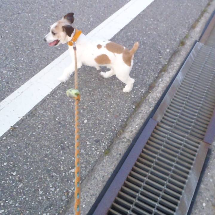 0f471858 1ac2 4665 97b9 ace28b229c22 1530489016055