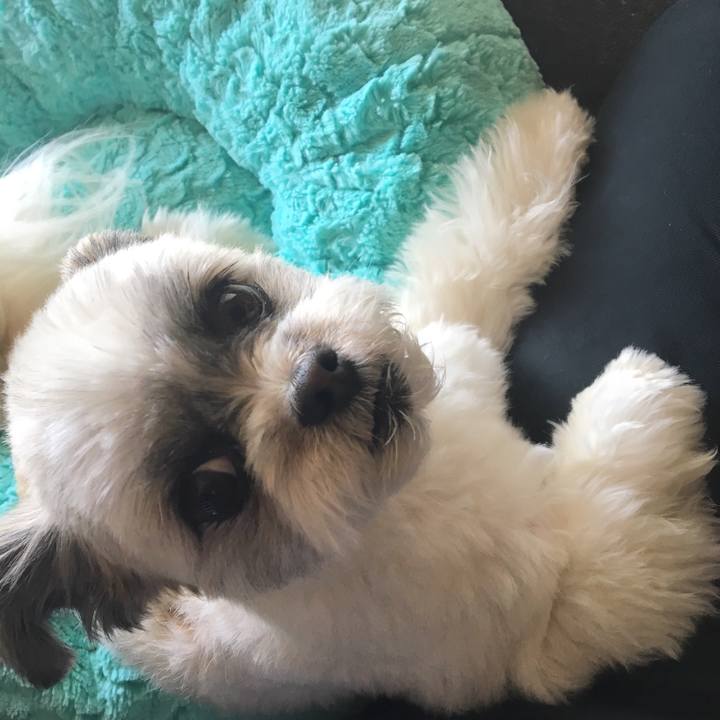 0f47248a bcaf 498b 9645 a1c37c30987e 1520990738235