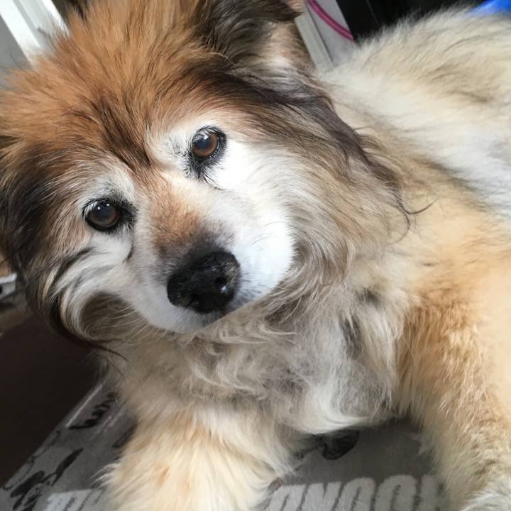 0f4730fe 0a55 4984 8636 7ea80cc772ed 1563783446705