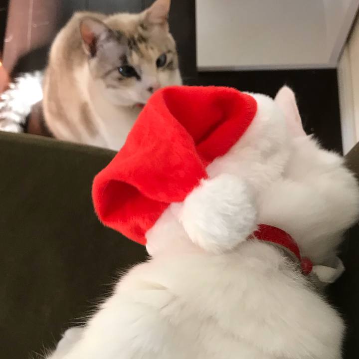 0f476248 0b08 4e3d 9505 60086efa6b5f 1514092889343