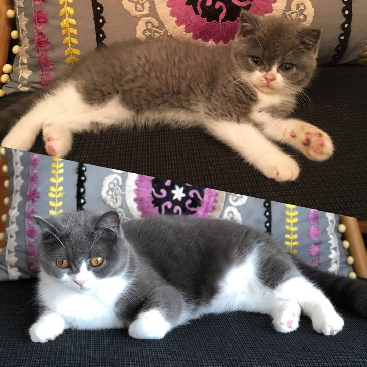 0f478fa3 b45c 49f6 99c4 e0ed0f192eb6 1532167015798