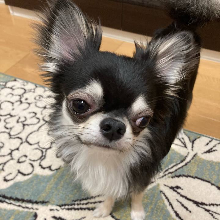 0f47a33c 7dbc 43a0 84b0 c994f8c5d44a 1623589578888