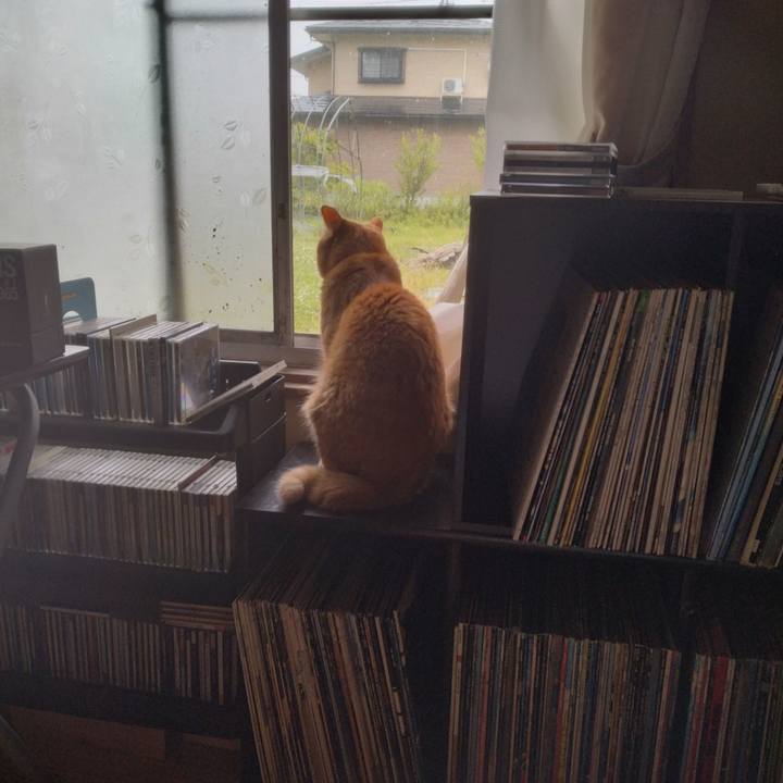 0f47b0ad 0da2 4570 9634 1a9a182dc002 1688088444888