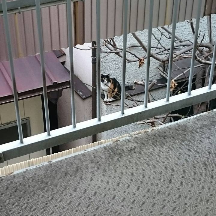 0f4801bf 2da2 4782 bcc0 d8f2ce7a326c 1521763606355