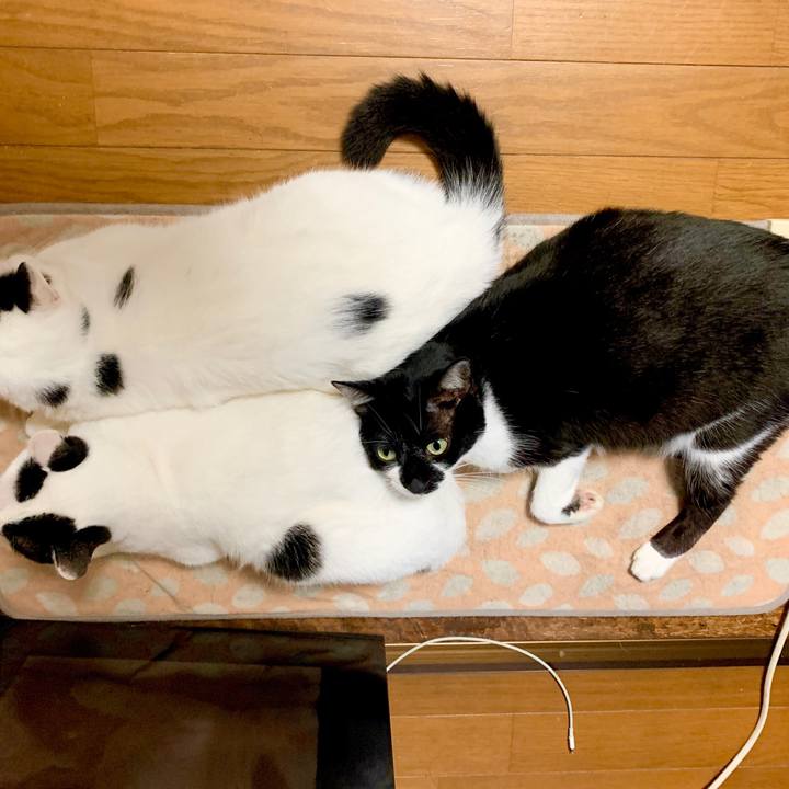 0f4818f7 830f 493f 8181 10e38bccdb23 1602916985363