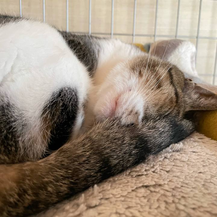 0f481ea4 0a64 413e 81cb 326e3b44f189 1630366946062