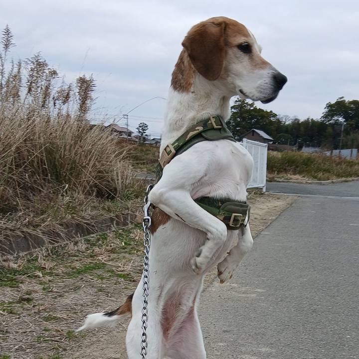 0f4828b5 0bde 4689 b4da cd6f821cfa7d 1771590846000