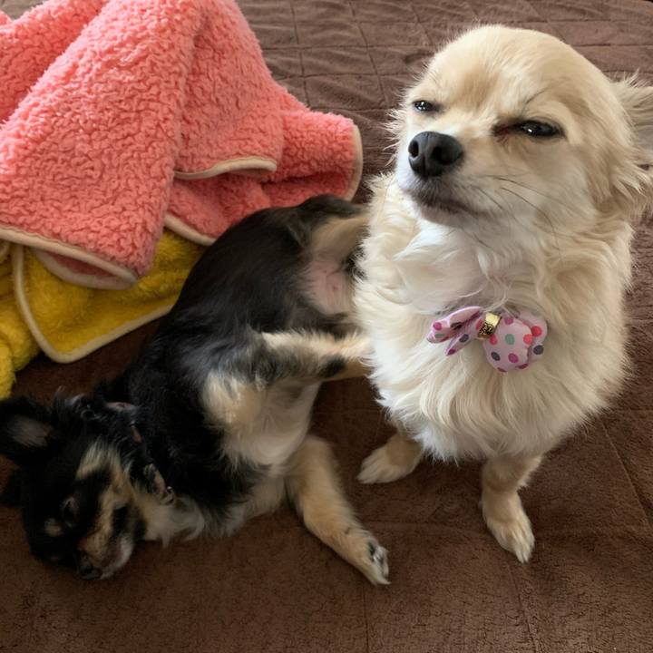 0f482df3 15ab 44d3 bbba f98715d82e4d 1619608932849