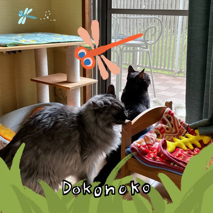 0f485cb2 fe91 4bfb a8ed f1f294022b98 1727232556875