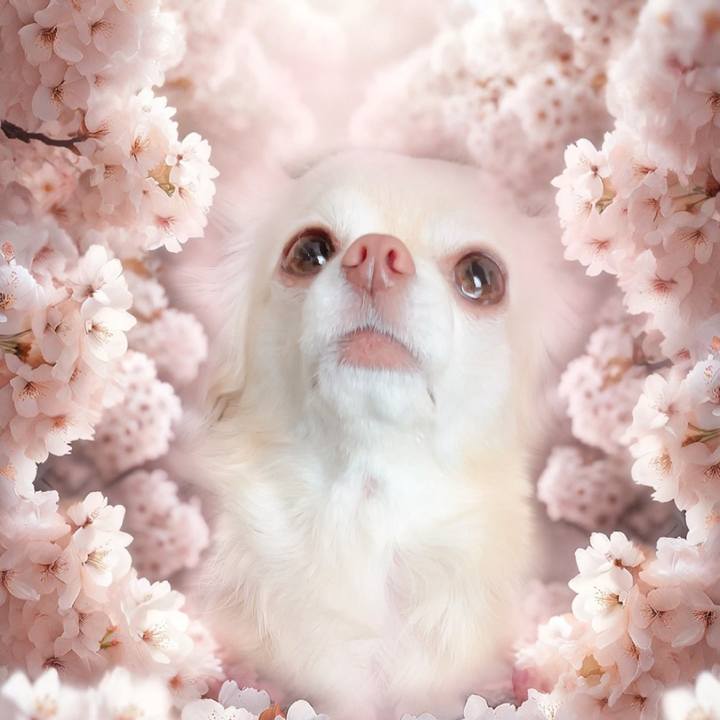 0f486594 0f0c 4c09 a769 eb2f5d7ea06d 1710934277125