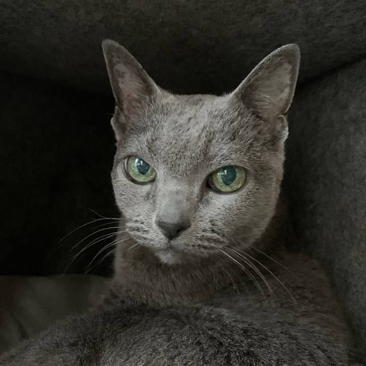 0f4870cf 001f 4a49 a778 a2a4d6f37029 1610867153817