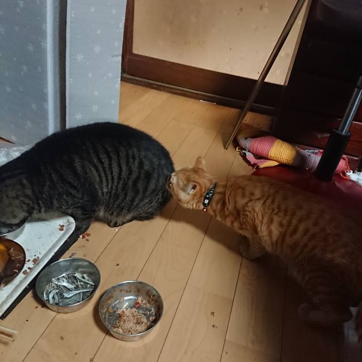 0f48ac2f dade 4a59 9fa5 f17ba5b8a656 1639650664759