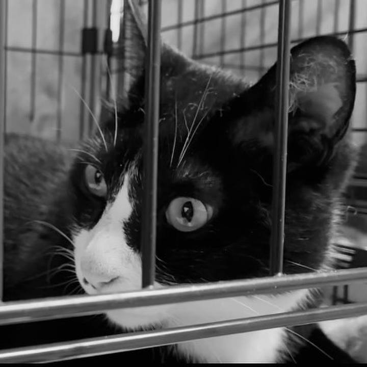 0f48b572 f639 4675 9636 926867ff2417 1750680614662