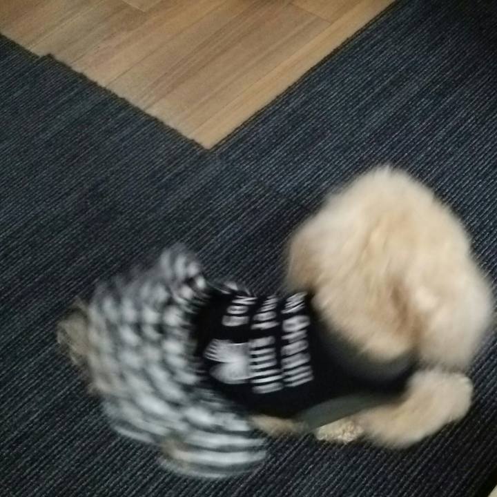 0f48d084 6640 412f 8e2b 1946ce6d28d8 1538222681537