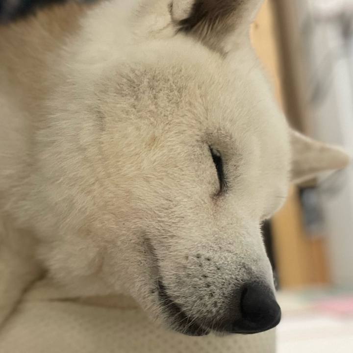 0f49049a 3887 4d89 b808 74e97d9d8984 1763717491590