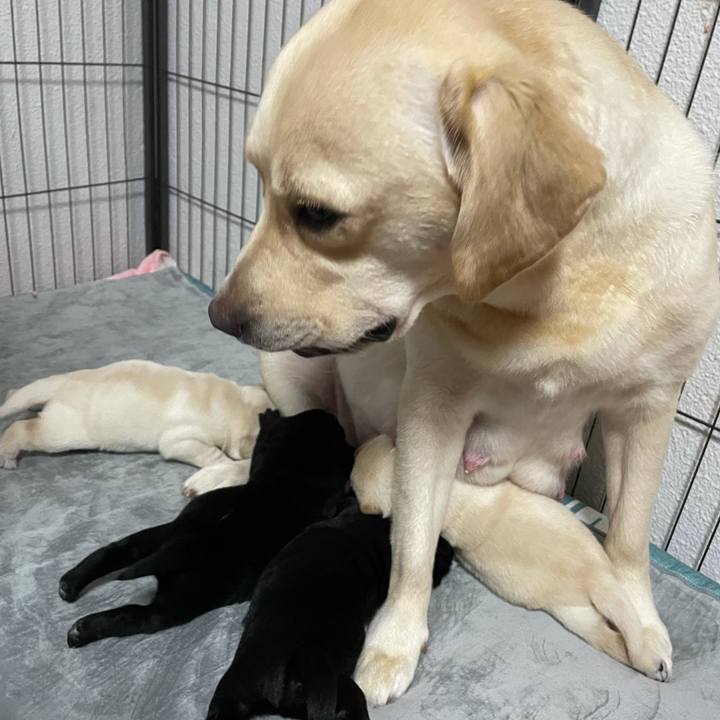 0f4936f9 3f34 45c6 b865 d17cbf9e60e3 1625922873599