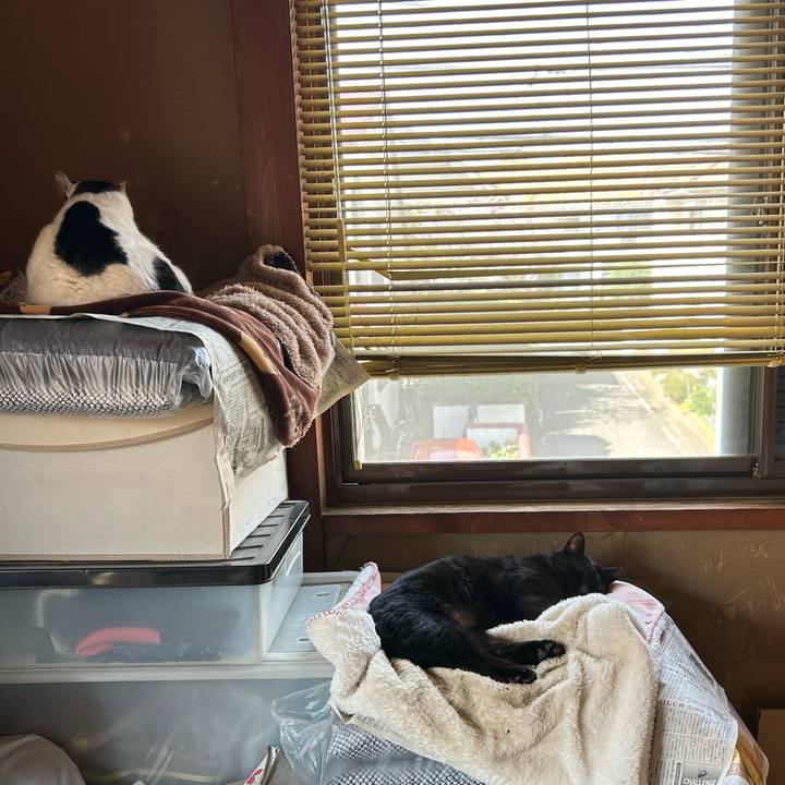 0f494d0f a03e 4c0d aeb9 4c62cb65ebc8 1711958142422