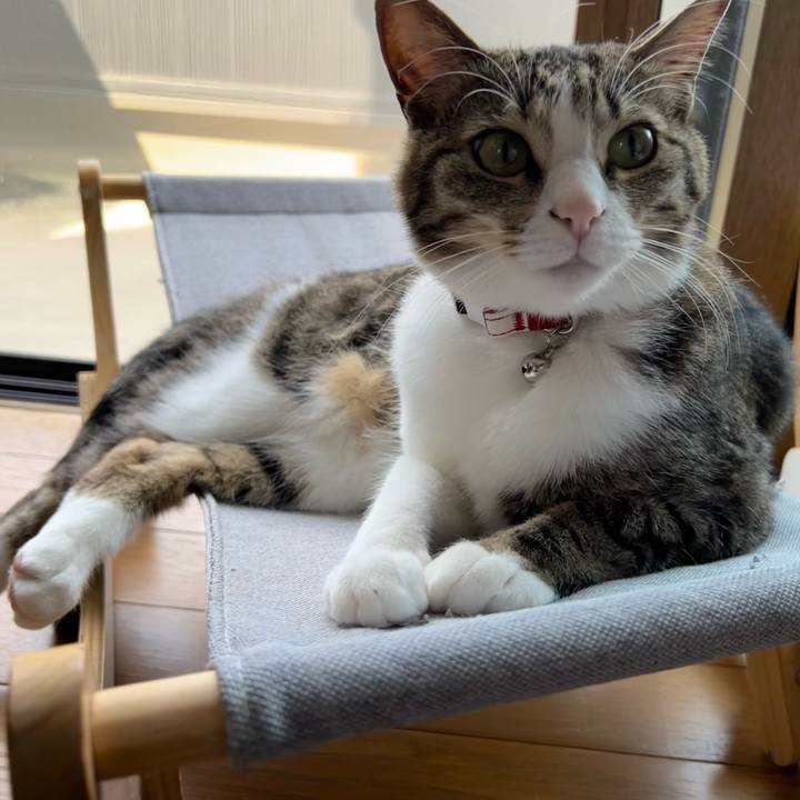 0f49821a 6f25 4143 9161 08af2334db74 1726468861289