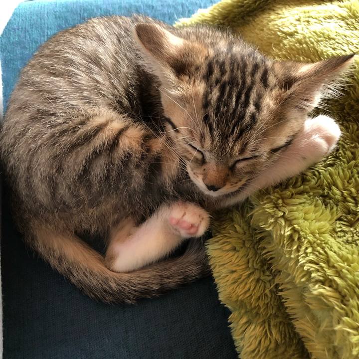 0f4982db 9dda 4ddc 99a9 f3645cd1c2df 1542511314887