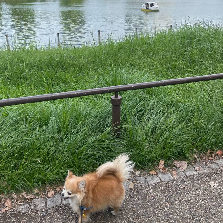 0f49de4a f096 4124 a2e3 347dc07e769e 1758522644359