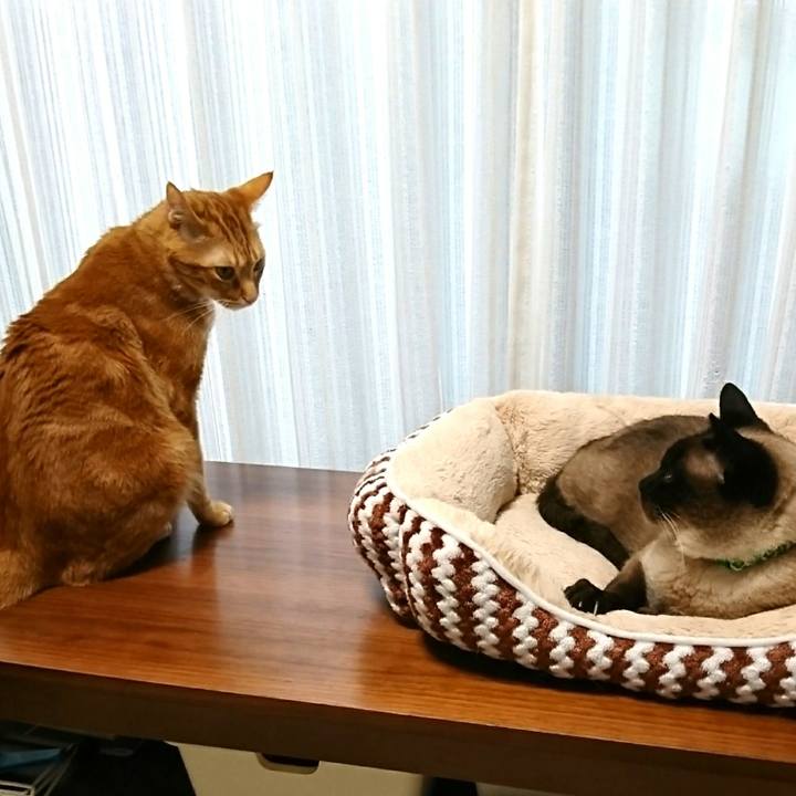 0f4a1a20 3b82 4b16 bc3a aa41526920c8 1524610317074