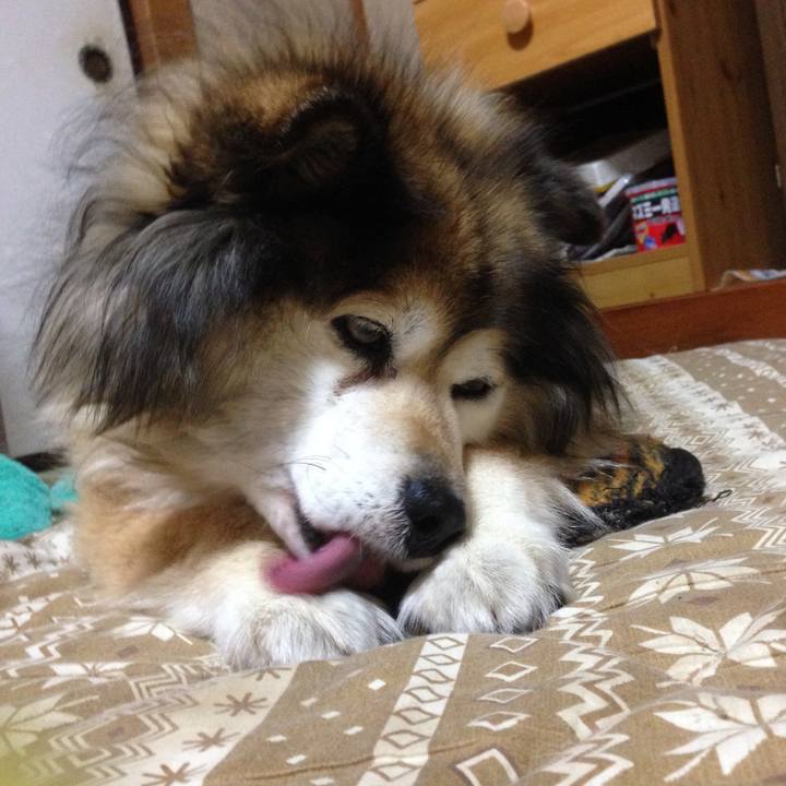 0f4a4c06 82ed 4053 979a 43c8e585c810 1585919158055