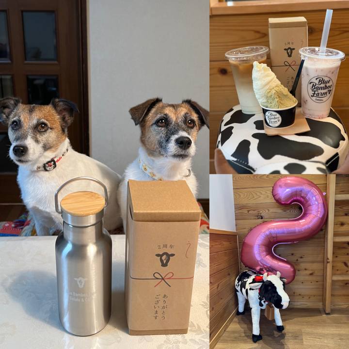 0f4a8370 4995 418f 98ee c6cf22669a4a 1722775118323