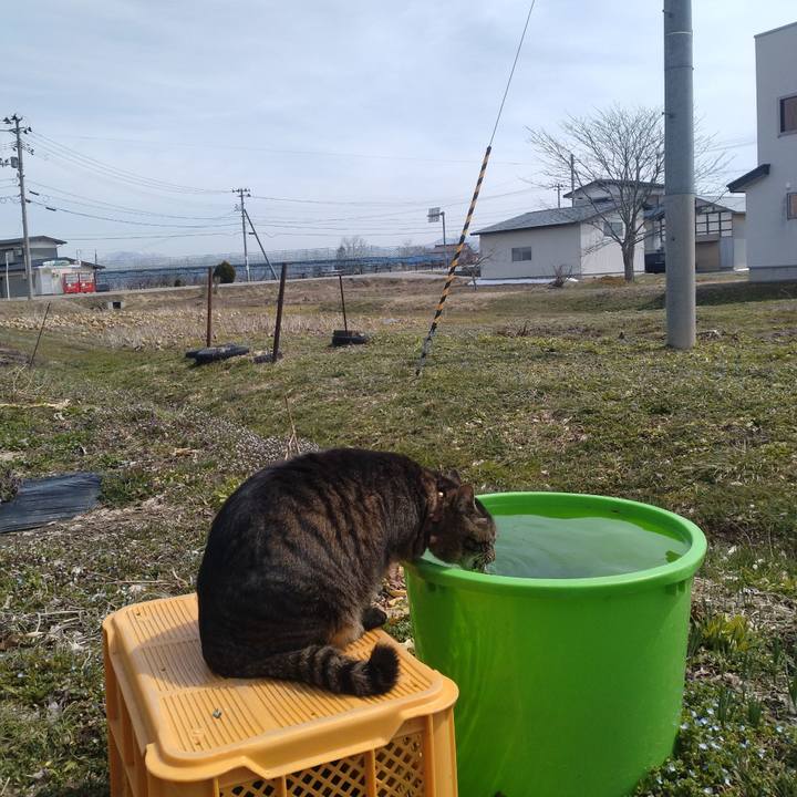 0f4a9f93 9a1c 44a4 8195 d5d120711d9b 1711617188146