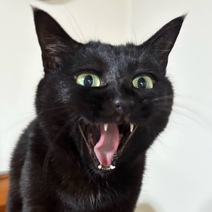 0f4ac8e9 1b25 4395 954c c2b312d9d22b 1758361975656