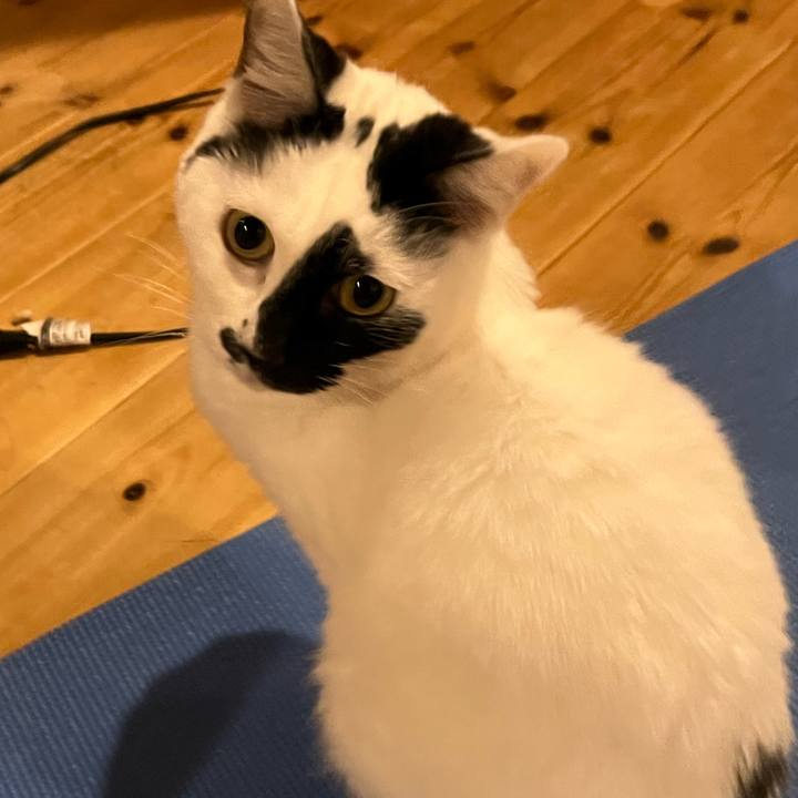 0f4b5a2a da59 4729 8561 2f2306d705bb 1773672093984