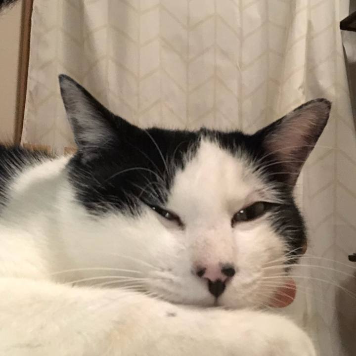 0f4b8cd1 8a0c 4b7f aeb6 bc8123e3acea 1576332323944