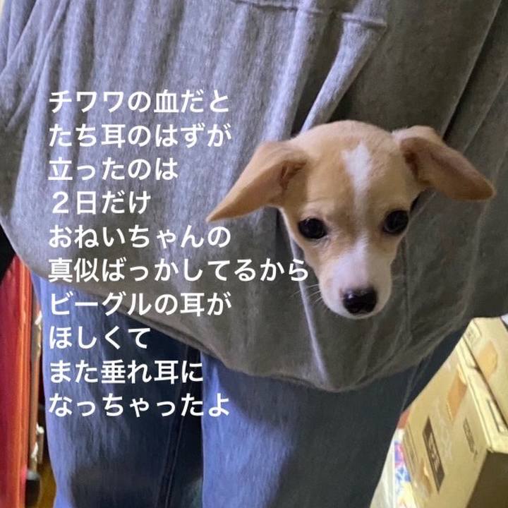 0f4ba179 82cd 4f60 b5e6 6a23d95cfed0 1662763540491