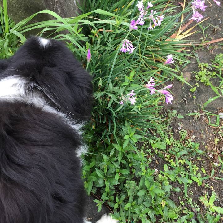 0f4bd251 e217 43e1 a41e 1b72e1e3f186 1562628787032