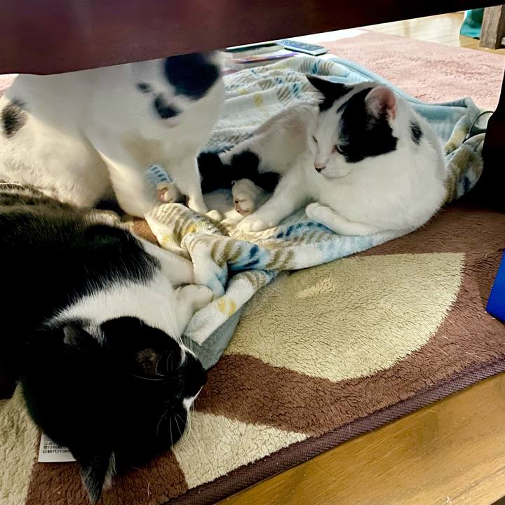 0f4bd7d4 3d9d 4c40 811d 6f0891d5327b 1670159739235