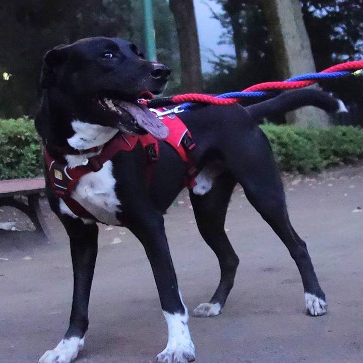 0f4c5754 3edb 4895 ab89 fa96d0b73923 1598009326856