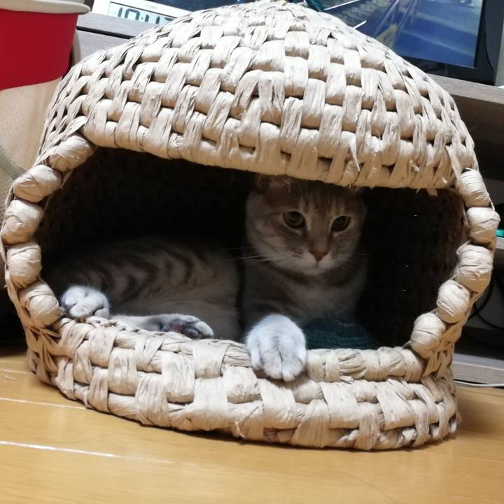 0f4c6604 8c45 42e3 ba41 63fa0032dac6 1527038972716