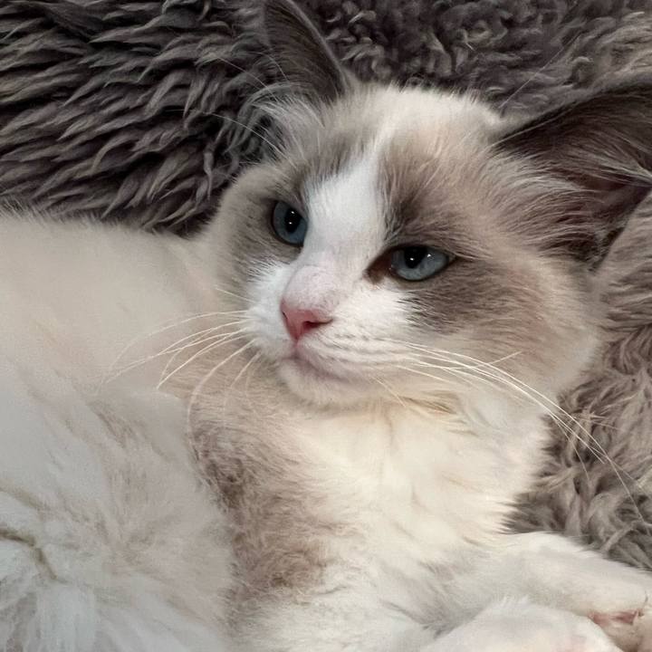 0f4ca68c 3f85 4dc5 b55f 2e4f0a6b529d 1650085515686