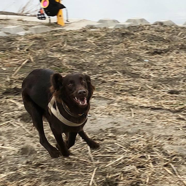 0f4cb7d0 7227 46d5 9b91 fd5af6b0537d 1578705075085