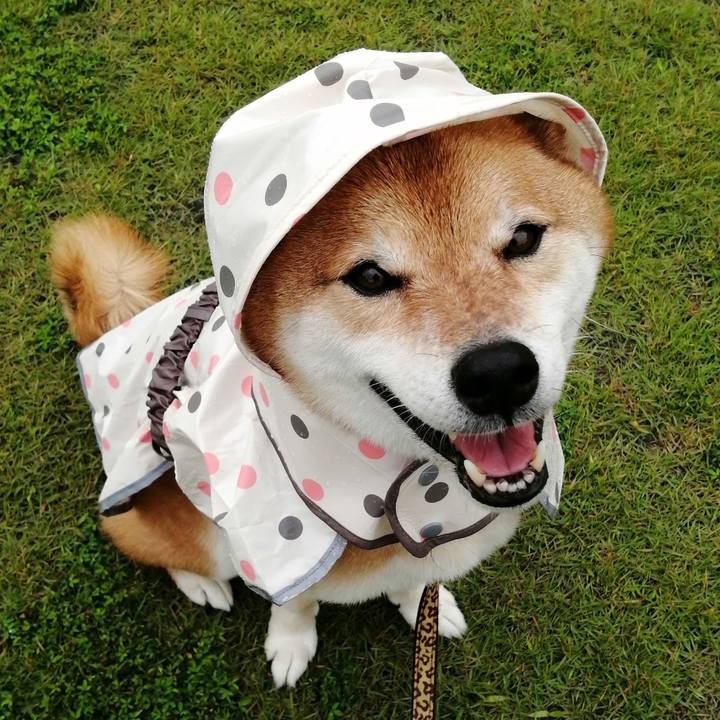 0f4cf2aa a881 4c1b 9163 3b1cc6afd386 1625208179286