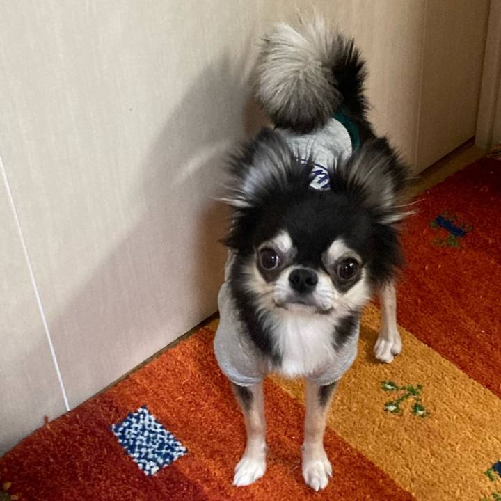 0f4d51d7 283d 4f78 baa4 7652b808d17d 1639231598227