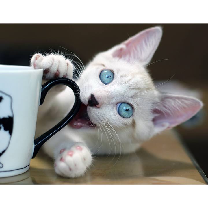 0f4d9b92 7512 48dc ae61 c218da950bd3 1599993613063