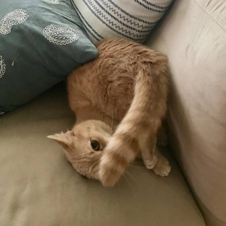 0f4db621 ff4f 4352 8cb1 4ba9c3d54680 1562644944620