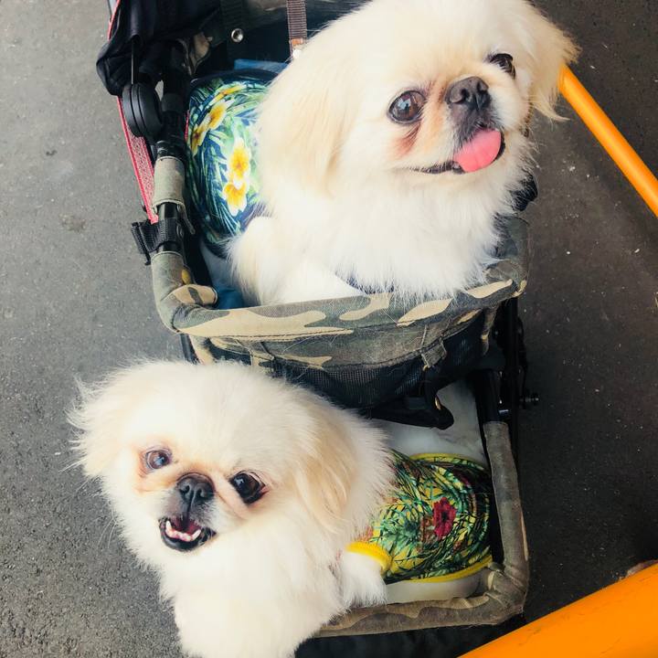 0f4dc88c 75c4 4ab4 a728 b941fd104f6d 1564004514919