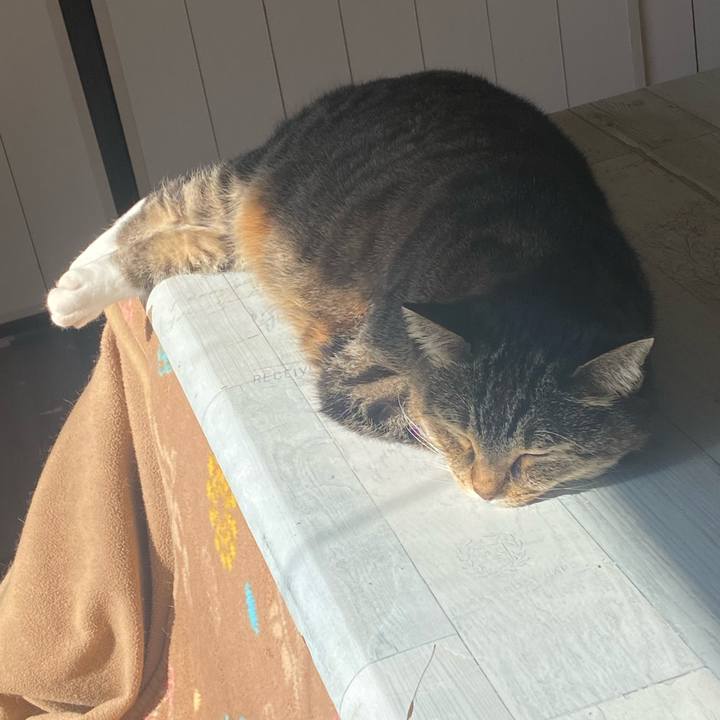 0f4e57c0 3cf8 4bb4 95a1 9d586d028aff 1669512554209