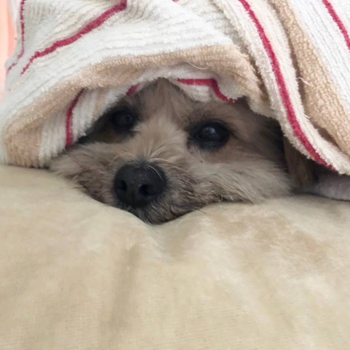 0f4e6627 a811 44b0 ae2b e9f279587eca 1625314686477