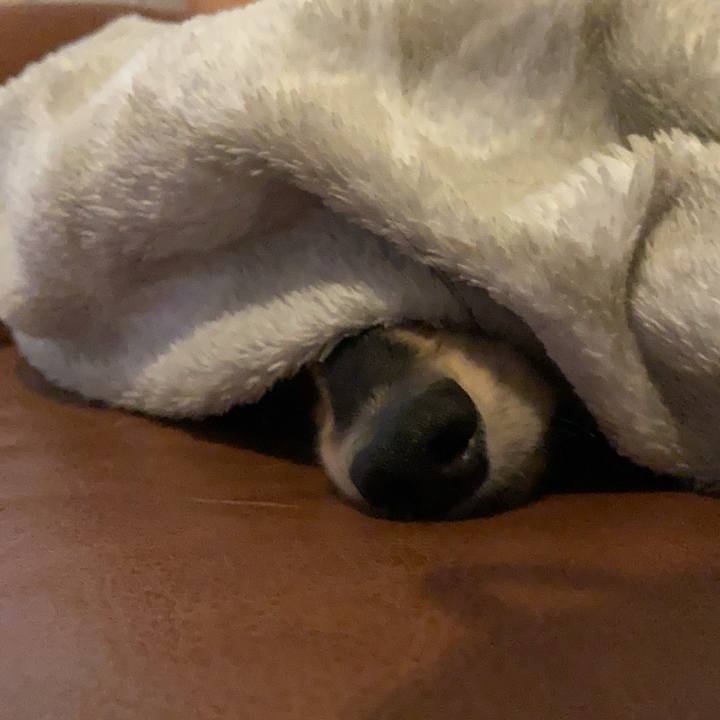 0f4e8d96 a6c9 46b2 b062 3f90f24633cb 1755042970698